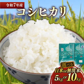 【ふるさと納税】 令和7年 コシヒカリ 選べる容量 5kg 10kg 選べる精米方法 白米 無洗米 近江米 こしひかり 米 コメ こめ お米 精米 ご飯 ごはん 飯 彦根産 滋賀 彦根