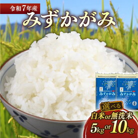 【ふるさと納税】 新米 令和7年 みずかがみ 選べる容量 5kg 10kg 選べる精米方法 白米 無洗米 近江米 ミズカガミ 水鏡 米 コメ こめ お米 精米 ご飯 ごはん 飯 彦根産 滋賀 彦根