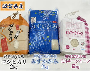 【ふるさと納税】滋賀県産 特別栽培米コシヒカリ2kg×1、環境こだわり米ミルキークイーン2kg×1、環境こだわり米みずかがみ2kg×1の3種セット