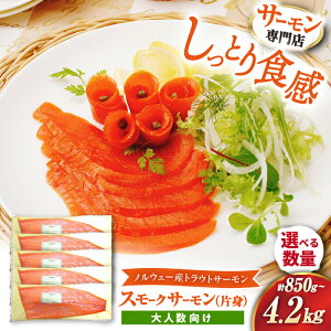 yӂ邳Ɣ[ŁzyIׂeʁzT[  X[NT[ Аg gEgT[ v850g`4.2kg@ꌧls/В[AQAJ024] T[ TP  X[N  lC e