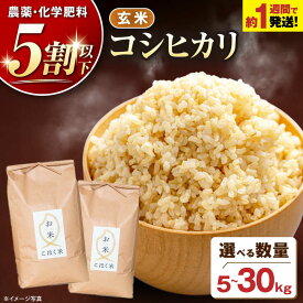 【ふるさと納税】玄米 コシヒカリ ＜選べる内容量＞ 5kg 10kg 20kg 30kg 令和7年産 長浜市/エース物産[AQAK001] 米 こめ ご飯 お米 スピード発送 送料無料 環境こだわり米