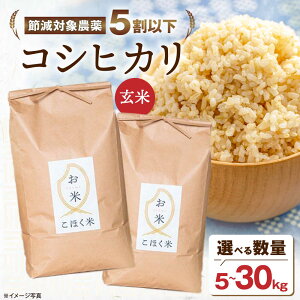 yӂ邳Ɣ[ŁzIׂeʁyߘa7NYVāz ꌧY Ζk̃RVqJ  5kg 10kg 20kg 30kgyāzls/G[XY[AQAK001]   Ђ  R V N