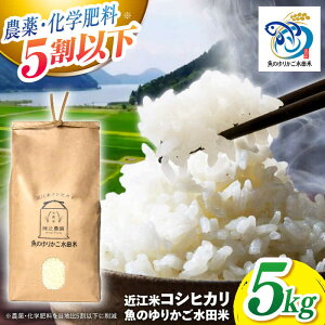 yӂ邳Ɣ[Łzyߘa7NYVāz ߍ] RVqJ 5kg ̂肩cā@ls/Ҕ_[AQAW003]RVqJ Ђ ߍ]  c    5kg V lC  5L 