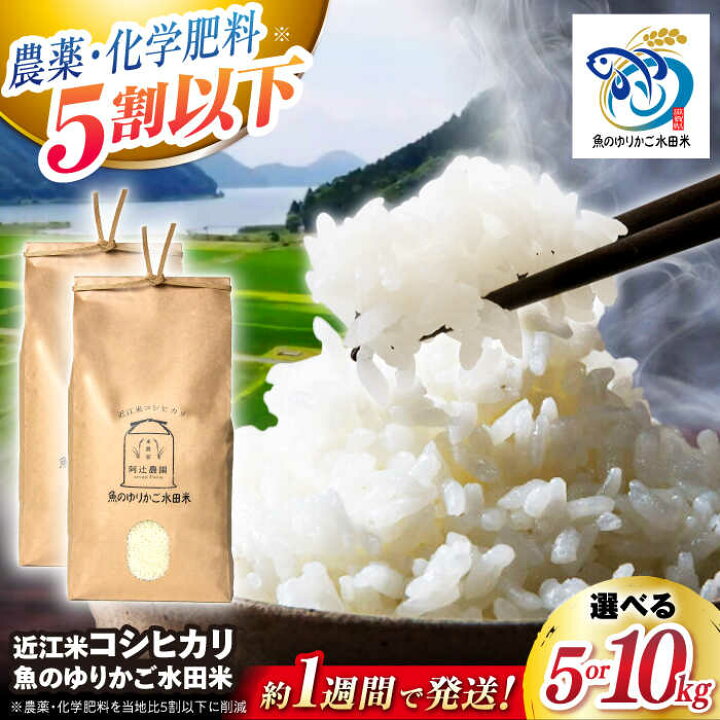 楽天市場】【ふるさと納税】すぐ届く【令和7年産】 近江米 コシヒカリ 