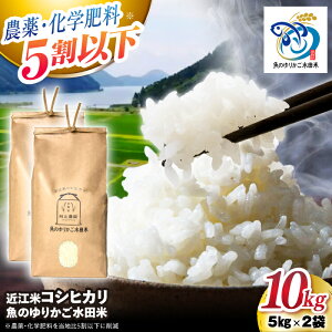 yӂ邳Ɣ[Łzyߘa7NYVāz ߍ] RVqJ 10kgi5kg×2j ̂肩c ꌧls/Ҕ_[AQAW012] RVqJ Ђ ߍ]  c    10kg VĐlC 