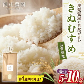 【ふるさと納税】すぐ届く【令和7年産】【選べる容量】きぬむすめ 5kg〜10kg 長浜市/阿辻農園[AQAW015] きぬむすめ キヌムスメ 白米 米 精米 冷めても美味しい 滋賀県産 5キロ 10キロ おにぎり お弁当 ごはん ふっくら もっちり 和食 すぐ届く すぐ 届く スピード発送