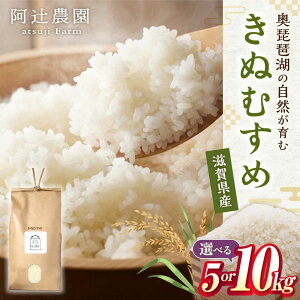 yӂ邳Ɣ[Łzyߘa7NYVāzyIׂeʁzʂނ5kg`10kg ꌧls/Ҕ_[AQAW015] ʂނ LkX    ߂Ă ꌧY 5L 10L ɂ 