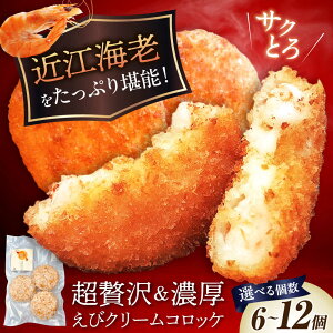 yӂ邳Ɣ[ŁzyIׂeʁzߍ]CVґ N[RbP 6 9 12 ꌧls/{Edq[AQBA001] N[RbP RbP y  CV  Gr CVN[