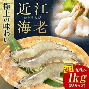 yӂ邳Ɣ[Łzߍ]CV SSTCY 400g`1kg ꌧls/{Edq[AQBA004] Gr CV  CN  L  bk sv Ⓚ Ɩp  Y ٓ hg h