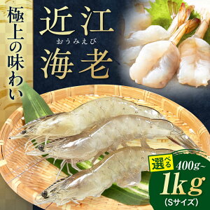 yӂ邳Ɣ[Łzߍ]CV STCY 400g`1kg ꌧls/{Edq[AQBA008] Gr CV  CN  L  bk sv Ⓚ Ɩp  Y ٓ hg hg