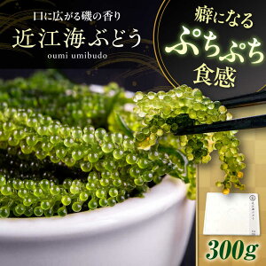 yӂ邳Ɣ[Łzߍ]CԂǂ 300g ꌧls/{Edq[AQBA016] CԂǂ CuhE C CY VN CNT_  _CGbg {Edq  l lC  O