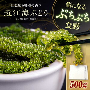 yӂ邳Ɣ[Łzߍ]CԂǂ 500g ꌧls/{Edq[AQBA017] CԂǂ CuhE C CY VN CNT_  _CGbg 500g  l lC  O C 