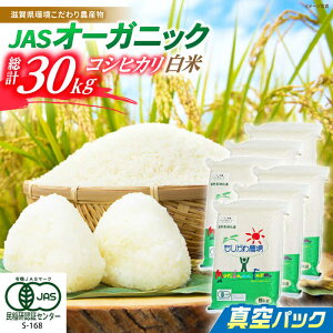 yӂ邳Ɣ[Łzyߘa7NYVāz JASI[KjbN RVqJ 30kg (5kg×6)  ^pbN ꌧls/LЂ肩_ [AQBL013] ʍ͔| ͔|Ԓ _sgp RVqJ 