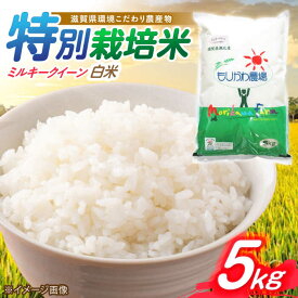 【ふるさと納税】【令和7年産】滋賀県 低農薬栽培 ミルキークイーン 白米 5kg 滋賀県長浜市/有限会社もりかわ農場 [AQBL023] ミルキークイーン 米 お米 白米 5kg ブランド米 美味しい人気 おすすめ