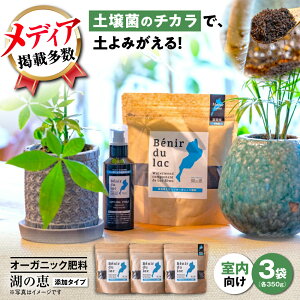 yӂ邳Ɣ[ŁzAR100 VRyۓI[KjbN엿 ΂̌b Y^Cv 350g×3 ꌧls/ЖL[AQBR001] ǔ ϗtA 엿 ͔ y ƒ؉ | lC 