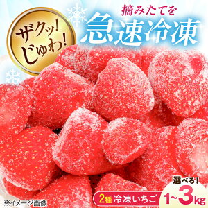 yӂ邳Ɣ[ŁzyIׂeʁzⓀ (gق؁E) E݂ 1kg~3kg ꌧls/Ђ݂Ȃ̂[AQBT003]  C`S  Ⓚ Ⓚ t[c ʕ XC[c 