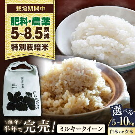 【ふるさと納税】【令和8年産 新米】特別栽培米ミルキークイーン 5kg 10kg 選べる容量/精米方法 白米 玄米 長浜市/株式会社お米の家倉[AQCP019] 米 お米 玄米 5kg 特別栽培 ミルキークイーン 精米 ごはん おにぎり 炊き込みご飯 人気 おすすめ 5キロ 10キロ