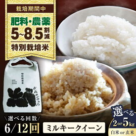 【ふるさと納税】【令和8年産 新米】【選べる精米方法/容量/定期便回数】 特別栽培米 ミルキークイーン 2kg 5kg 白米 玄米 全6回 全12回 滋賀県長浜市/お米の家倉[AQCP023] 米 こめ コメ お米 定期便 国産 家庭用 精米 ご飯 おにぎり 送料無料 人気 おすすめ 炊き込みご飯