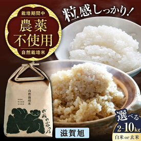 【ふるさと納税】＜先行予約＞【令和8年産 新米】自然栽培米 滋賀旭 2kg 5kg 10kg 選べる内容量と精米方法 | 白米 玄米 米 こめ コメ お米 国産 精米 ご飯 選べる 送料無料 お取り寄せ 栽培期間中農薬不使用 近江米 長浜市/お米の家倉[AQCP037] 人気 おすすめ おにぎり