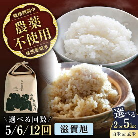 【ふるさと納税】＜先行予約＞【令和8年産 新米】自然栽培米 滋賀旭【選べる精米方法/容量/定期便回数】2kg 5kg 白米 玄米 全5回 全6回 全12回 滋賀県長浜市/お米の家倉[AQCP043] 米 こめ コメ 国産 甘い 家庭用 精米 ご飯 送料無料 お取り寄せ 人気 おすすめ ごはん