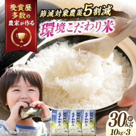 【ふるさと納税】【令和7年産】 環境こだわり米 みずかがみ 10kg ×3（30kg） 滋賀県長浜市/株式会社TPF [AQCQ005] みずかがみ 10kg 米 お米 白米 30kg ※着日指定不可