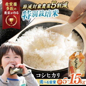 【ふるさと納税】【令和7年産】【選べる容量】特別栽培米 コシヒカリ 5kg〜15kg 滋賀県長浜市/株式会社TPF[AQCQ012]コシヒカリ こしひかり 米 お米 白米 5kg 10kg 15kg おこめ ご飯 白飯 国産 精米 粘り つや おいしいお米 安心 夜ごはん おにぎり