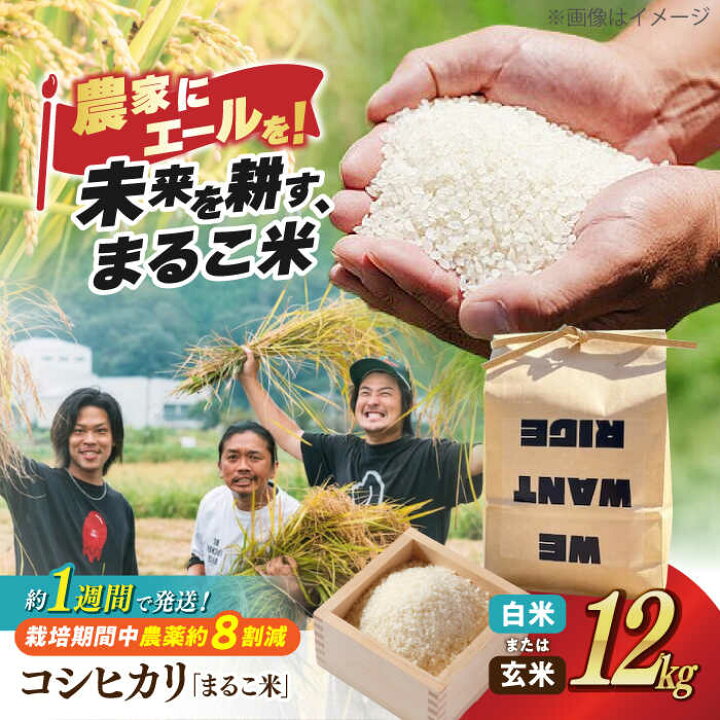 楽天市場】【ふるさと納税】【令和7年産】すぐ届くコシヒカリ 12kg 