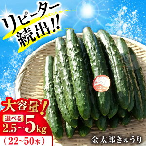 yӂ邳Ɣ[ŁzyIׂeʁzYイ 2.5kg`5kg ꌧls/~xAObNt@[[AQDD001] イ LE ӉZ  ₳ TC VN ① 2.5kg 5kglC 