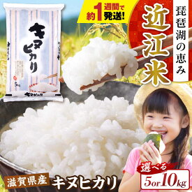 【ふるさと納税】スピード発送【令和7年産】【選べる容量】キヌヒカリ 5kg〜10kg 白米 滋賀県長浜市/株式会社コメック[AQDH003] 米 きぬひかり 米 お米 白米 5kg 10kg 近江米 美味しい ごはん 人気 おすすめ ブランド米 5キロ 10キロ すぐ届く 早い 発送 すぐ
