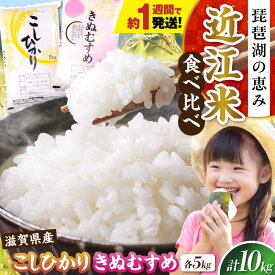 【ふるさと納税】早い発送！【令和7年産】コシヒカリ・きぬむすめ白米食べ比べセット 滋賀県長浜市/株式会社コメック[AQDH007]コシヒカリ きぬむすめ 米 お米 白米 食べ比べ セット 近江米 人気 おすすめ 令和7年 R7 おこめ こしひかり すぐ届く 早い 発送 すぐ