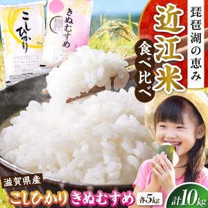 yӂ邳Ɣ[Łzyߘa7NYVāzRVqJEʂނߔĐHה׃Zbg ꌧls/ЃRbN[AQDH007]RVqJ ʂނ    Hה Zbg V ߍ] l