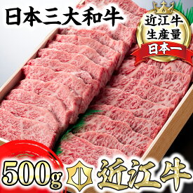 【ふるさと納税】極上近江牛焼肉用 バラ 500g〜1kg A4/A5 国産 牛肉 焼肉用 霜降り ブランド牛 日本三大和牛 近江牛 近江牛よしだ キャンプ バーベキュー アウトドア 贈り物 ギフト にも 冷蔵 送料無料【リピート多数】【畜産農家支援】