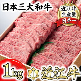 【ふるさと納税】極上近江牛焼肉用 バラ 500g〜1kg A4/A5 国産 牛肉 焼肉用 霜降り ブランド牛 日本三大和牛 近江牛 近江牛よしだ キャンプ バーベキュー アウトドア 贈り物 ギフト にも 冷蔵 送料無料【リピート多数】【畜産農家支援】