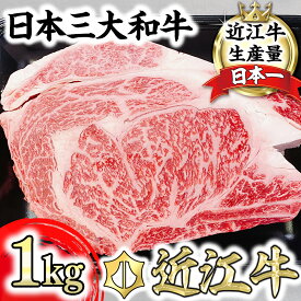 【ふるさと納税】近江牛 4等級以上 厳選 リブロース ブロック カット 1kg 牛肉 牛 A4 A5 ステーキ 焼肉 国産 滋賀県産 冷凍 送料無料