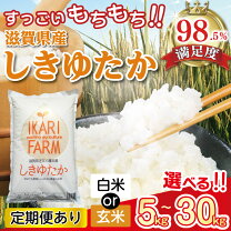 楽天市場】もちもち 米 30kgの通販