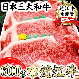 yӂ邳Ɣ[Łz4ȏ ߍ] T[CXe[L 600gi 200g×3j  A4 A5 ① Y ꌧY ① 蕨 Mtg 