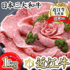 yӂ邳Ɣ[Łzߍ] 4ȏ IĂ 1kg 琬 oYċ A4/A5 Y  Ă Ⓚy{Y_Ǝxz