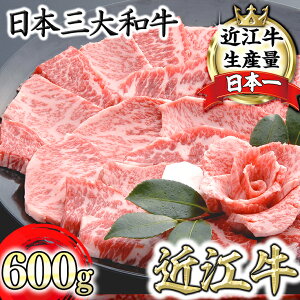 yӂ邳Ɣ[ŁzyPRLy[Ώہzߍ] Jr ē 600g 琬 4ȏ̖oYċ A4/A5 Y  Ⓚ y{Y_Ǝxz