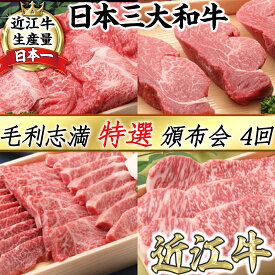 【ふるさと納税】【定期便】近江牛 すき焼き/しゃぶしゃぶ/焼肉/ステーキ 食べ比べ ロース/サーロイン/ヒレ 毛利志満 4等級以上 サーロイン ヒレステーキ 特選 頒布会（全4回定期便） 牛肉 牛 A4/A5 冷蔵 国産 キャンプ アウトドア バーベキュー bbq 贈り物 ギフト 送料無料