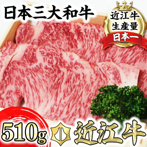 yӂ邳Ɣ[Łzߍ] їu T[C Xe[L 510gi170g×3j3lO 4ȏ T[CXe[L A4/A5 Y  ē o[xL[ bbq uh ①  {Oa L
