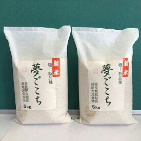 【ふるさと納税】【5年産】近江米夢ごこち 白米【5kg×2袋】