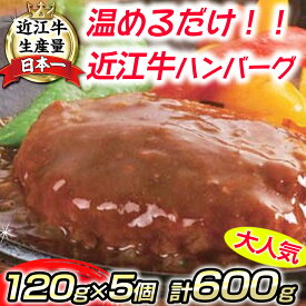 【ふるさと納税】近江牛ハンバーグ 5個 【600g（120g×5個）】【総本家肉のあさの】 牛肉 国産 ハンバーグ 近江牛 生産量日本一 近江八幡市 日本三大和牛 冷凍