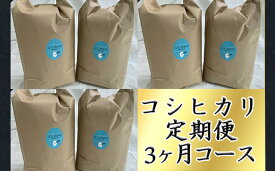 【ふるさと納税】令和5年産 お米の定期便 【コシヒカリの会 全3回】 ふるさと納税 米 定期便