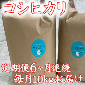 【ふるさと納税】令和5年産 ふるさと納税 米 定期便 お米の定期便 【コシヒカリの会 全6回】【10kg(5kg×2袋)×6回】