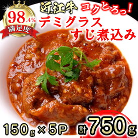 【ふるさと納税】近江牛 コクとろ！デミグラスすじ煮込み 750g（150g×5パック） 国産 牛肉 近江牛 キッチンパル 冷凍