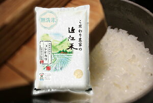 【ふるさと納税】【PRキャンペーン対象】【新米】【7年産】近江米 環境こだわり栽培 コシヒカリ 無洗米 10kg 国産 滋賀県 中谷農場