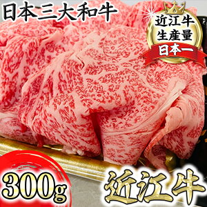 yӂ邳Ɣ[ŁzX Iߍ]u؂肨Ƃ 300g  Y ߍ] u ؂藎Ƃ Ⓚ