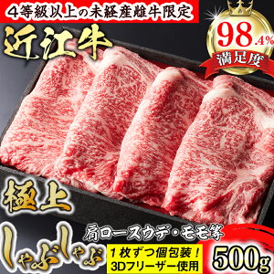 yӂ邳Ɣ[ŁzyXOz4ȏ̖oY@ߍ]ɏサԂ500gi[XEEfEj