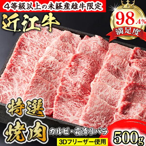 yӂ邳Ɣ[ŁzyXOz4ȏ̖oY@ߍ]Iē500g(JrE~oj