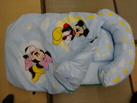 楽天市場 ふるさと納税 ディズニーの通販